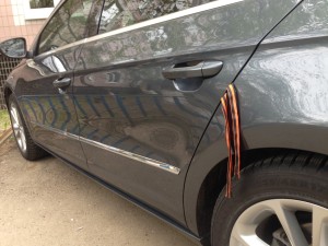 IMG_1165