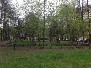 IMG_1178